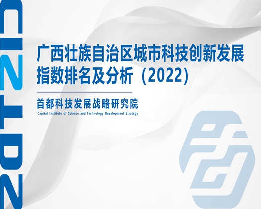 黄色肉棒插视频【成果发布】广西壮族自治区城市科技创新发展指数排名及分析（2022）